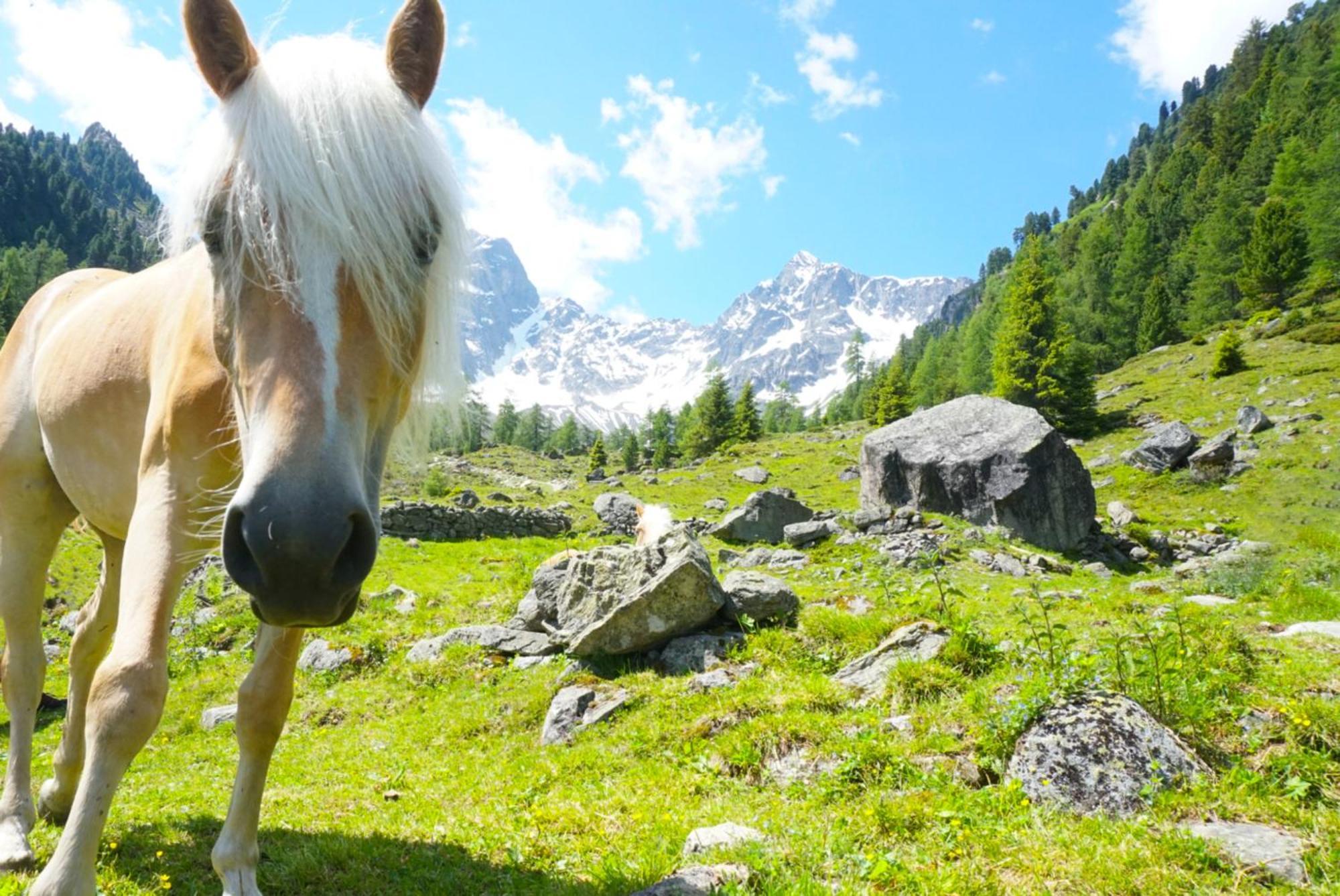 Apart Knabl Sankt Leonhard im Pitztal Quarto foto